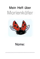 Vorschau - Arbeitsblätter - Marienkäfer Heft | Lernheft | Feinmotorik | Vorschule | Kindergarten | Förderschule | Inklusion - Seite 1