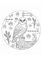 Vorschau - Mal- und Bastelvorlagen - Vögel Mandala zum Ausmalen | 10 Motive - Seite 3