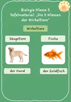 Vorschau - Präsentationen/Tafelbilder - Tafelmaterial: Die 5 Klassen der Wirbeltiere - Deckblatt