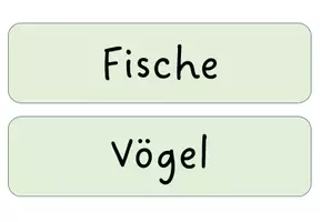 Vorschau - Präsentationen/Tafelbilder - Tafelmaterial: Die 5 Klassen der Wirbeltiere - Seite 3
