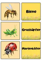 Vorschau - Arbeitsblätter - Lese-Zuordnungsspiel Insekten – Klasse 2 – 4 - Seite 3