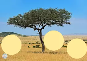 Vista previa - Hojas de trabajo - HABITATS - página 2