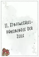 Vorschau - Präsentationen/Tafelbilder - Stoffwechselphysiologie I, II + III: Fotosynthese, Zellatmung, Gärung, Enzyme | Biologie 13 | Hefteinträge Paket - Seite 2