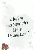 Vorschau - Präsentationen/Tafelbilder - Stoffwechselphysiologie I, II + III: Fotosynthese, Zellatmung, Gärung, Enzyme | Biologie 13 | Hefteinträge Paket - Seite 3