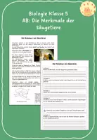 Vorschau - Arbeitsblätter - AB: Die Merkmale der Säugetiere - Deckblatt