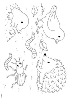 Vorschau - Arbeitsblätter - Ausmalbilder zum Regenwurm und Thema Wald - Seite 1