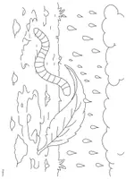 Vorschau - Arbeitsblätter - Ausmalbilder zum Regenwurm und Thema Wald - Seite 3
