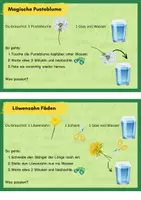 Vorschau - Experimente - Löwenzahn Versuche - Sachunterricht / Wiese - Seite 2