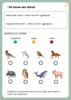 Voorbeeld - Natuur: Dieren - 1ste leerjaar - Fauna - Pagina 3