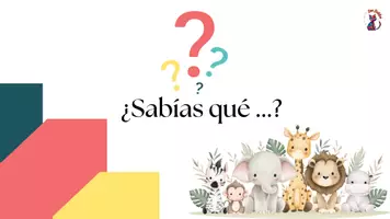 Vista previa - Decoración del aula - ¿Sabías qué ...? (Flashcards de los animales del alfabeto) - página 1