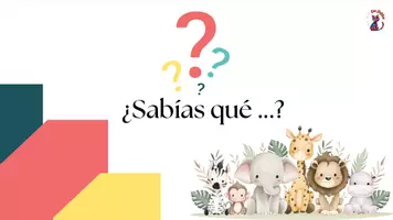 Vista previa - Decoración del aula - ¿Sabías qué ...? (Flashcards de los animales del alfabeto) - Portada