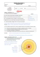 Vorschau - Test - Klassenarbeit zu Endogenen Kräften (Kl. 6-8) - Seite 2