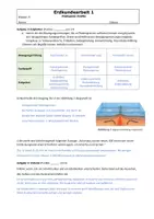 Vorschau - Test - Klassenarbeit zu Endogenen Kräften (Kl. 6-8) - Seite 3