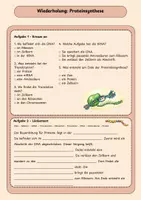 Vorschau - Spiele - Großes Genetik-Bundle: 9 Materialien für abwechslungsreichen Biologieunterricht - Seite 2