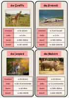 Vorschau - Spiele - Tierquartett (Tiere der Savanne) - Seite 3