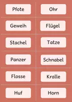 Vorschau - Stundenentwürfe - Tier-Rätsel schreiben | Hefteinträge, Arbeitsblätter & Abschreibkarten - Seite 3
