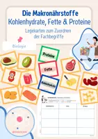 Vorschau - Arbeitsblätter - Makronährstoffe: Zucker, Fette & Proteine - Legekarten - Deckblatt
