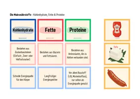 Vorschau - Arbeitsblätter - Makronährstoffe: Zucker, Fette & Proteine - Legekarten - Seite 1