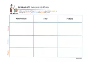 Vorschau - Arbeitsblätter - Makronährstoffe: Zucker, Fette & Proteine - Legekarten - Seite 3