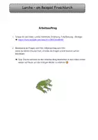 Vorschau - Arbeitsblätter - Froschlurche Einführung: Online Unterricht (G und M Niveau) - Seite 2