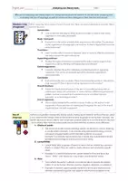 Vorschau - Arbeitsblätter - Analyzing texts - Analyse von Texten Sek II - Seite 2