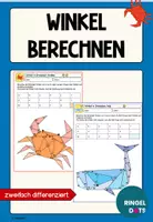 Vorschau - Stationenlernen - Winkel berechnen, Dreieck, Innenwinkelsumme, Nebenwinkel - Deckblatt