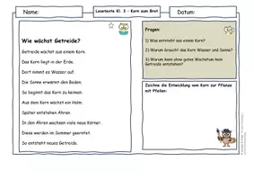 Vorschau - Arbeitsblätter - Getreide Klasse 3 Vom Korn zum Brot | Lesetexte Ursache-Wirkung Sachunterricht | differenziert mit Lösungen - Seite 1