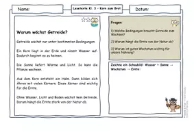 Vorschau - Arbeitsblätter - Getreide Klasse 3 Vom Korn zum Brot | Lesetexte Ursache-Wirkung Sachunterricht | differenziert mit Lösungen - Seite 2