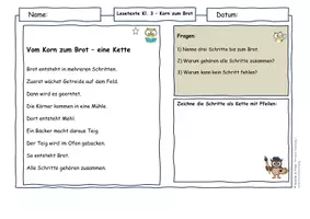 Vorschau - Arbeitsblätter - Getreide Klasse 3 Vom Korn zum Brot | Lesetexte Ursache-Wirkung Sachunterricht | differenziert mit Lösungen - Seite 3