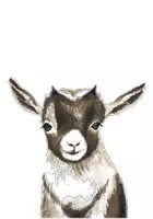 Vorschau - selbst erstellte Cliparts/Grafiken - Cliparts: Tiere in Wasserfarbe (Reh, Fuchs, Igel, Ziege) - Seite 3