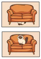 Vorschau - Bildkarten - Where is the cat? - Prepositions - Seite 1