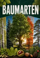 Vorschau - Poster - Lernkarte – Baumarten – Biologie – Pflanzen und Ökosysteme 6. Klasse - Seite 1