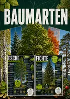 Vorschau - Poster - Lernkarte – Baumarten – Biologie – Pflanzen und Ökosysteme 6. Klasse - Deckblatt