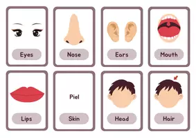 Vista previa - Juegos / Gamificación - body parts - página 3