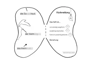 Vorschau - Mal- und Bastelvorlagen - Mein Bohnenheft: Entwicklungsphasen beobachten (Klasse 1/2) - Seite 2