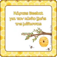 Προεπισκόπηση - Flashcards - Κάρτες Bee-Bot® για τον κύκλο ζωής της μέλισσας - Εξώφυλλο