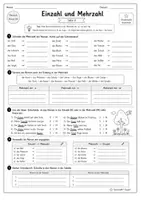 Vorschau - Arbeitsblätter - Einzahl und Mehrzahl Arbeitsblätter und Test Klasse 3-4 - Seite 3