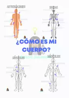 Vista previa - Hojas de trabajo - ¿Cómo es mi cuerpo - Portada