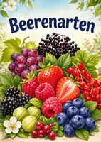 Vorschau - Poster - Lernkarte – Beerenarten – Sachunterricht – Pflanzen und Natur 2. Klasse - Seite 1