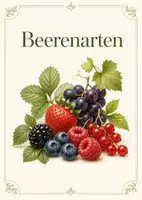 Vorschau - Poster - Lernkarte – Beerenarten – Biologie – Pflanzen und ihre Früchte 6. Klasse - Seite 1