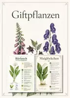 Vorschau - Poster - Lernkarte – Giftpflanzen – Biologie – Pflanzen und ihre Inhaltsstoffe 6. Klasse - Deckblatt