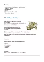 Vorschau - Stundenentwürfe - Kunst Kirschblüten malen nach dem goldenen Schnitt Klasse 3- Klasse 6 - Seite 2