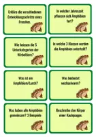 Vorschau - Aufgabenkarten - Amphibien- 24 Fragekarten inkl. Antworten - Seite 1