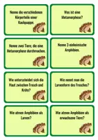 Vorschau - Aufgabenkarten - Amphibien- 24 Fragekarten inkl. Antworten - Seite 3