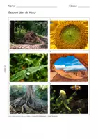 Vorschau - Unterrichtsreihen - Materialsammlung: Schöpfung und Natur bewundern - Seite 2