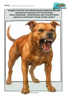 Vorschau - Arbeitsblätter - Kampfhunde / Listenhunde – Argumentatives Schreiben Abschlussprüfung Deutsch 2027 RS BW - Deckblatt
