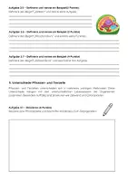 Vorschau - Arbeitsblätter - Zellorganellen Biologie Klassenarbeit: Tierzelle & Pflanzenzelle - Seite 3