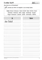 Vorschau - Arbeitsblätter - S/s oder Sch/sch? -Ähnliche Laute unterscheiden - SoPäd - Seite 2
