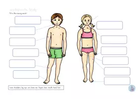 Vorschau - Arbeitsblätter - Arbeitsblätter body Körper Englisch - Seite 2