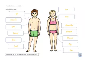 Vorschau - Arbeitsblätter - Arbeitsblätter body Körper Englisch - Seite 3